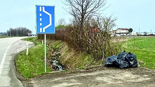 Sacchi di rifiuti raccolti lungo le strade intorno a Villa Varda