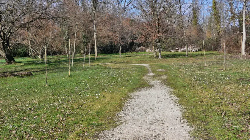 Il Parco delle Risorgive a Codroipo