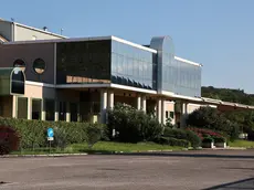 Lo stabilimento Tirso a Muggia (Lasorte)