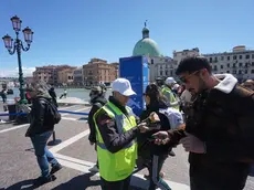 Torna il ticket di accesso a Venezia