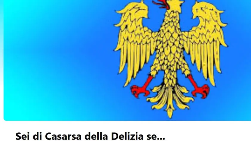 Il messaggio è stato postato sul gruppo Facebook "Sei di Casarsa della Delizia se"
