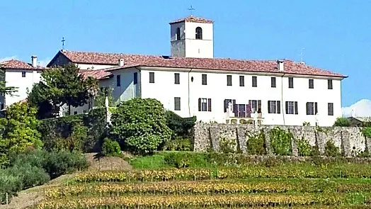 Le aree dedicate alla produzione vitivinicola nel territorio di Rosazzo