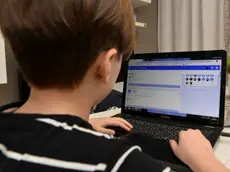 Studente impegnato in una ricerca sul web