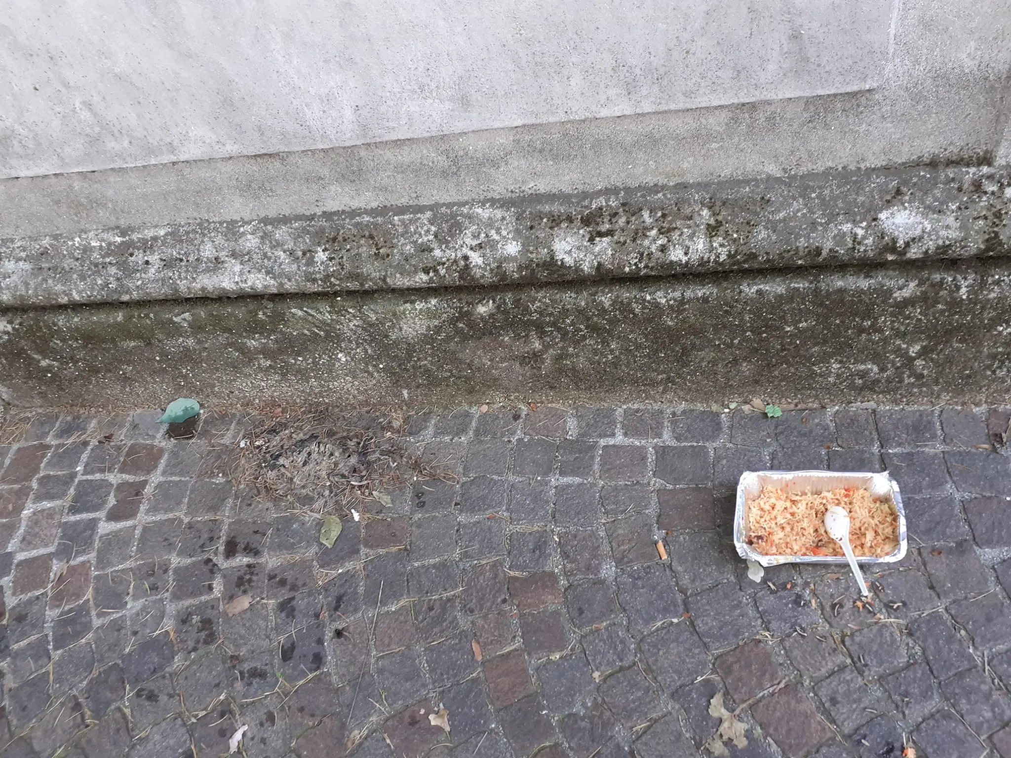 Il cibo abbandonato in strada