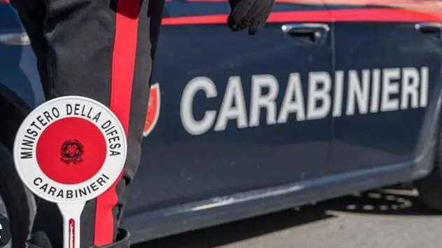Sui casi indagano i carabinieri
