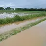 Campi allagati a Pradamano