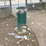 I lettori segnalano la mancanza di veterinari di notte e il degrado in viale Vat
