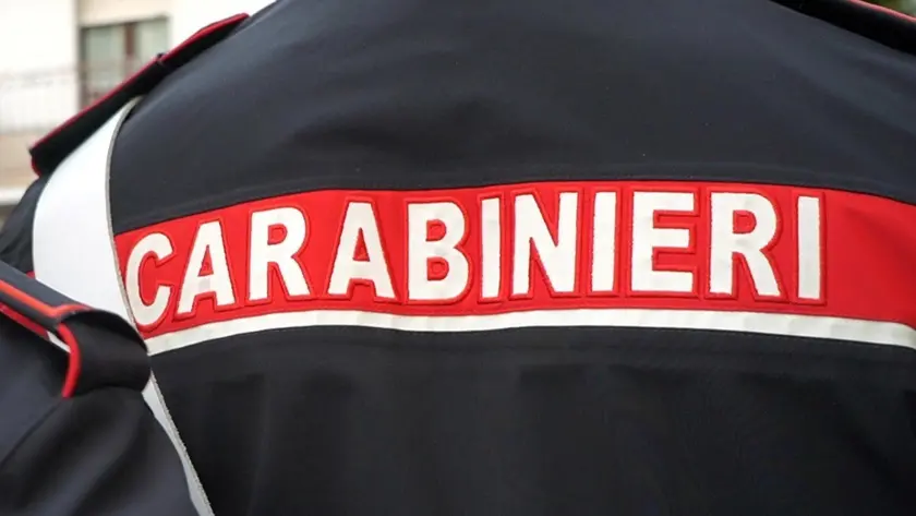 Il proprietario ha denunciato l'accaduto ai carabinieri (foto d'archivio)
