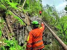 I soccorsi al lavoro nel punto in cui il ciclista è precipitato nel bosco