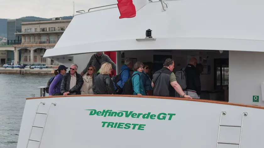 Il Delfino Verde
