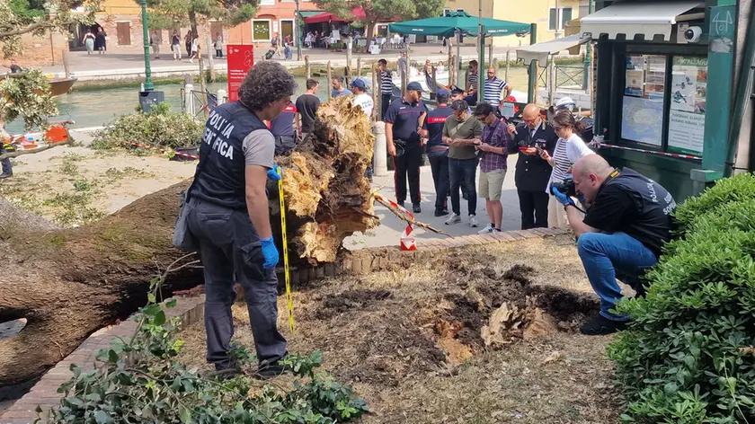 Forze dell’ordine nell’area del crollo (foto Interpress)