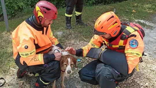 I soccorritori con il cagnolino salvato