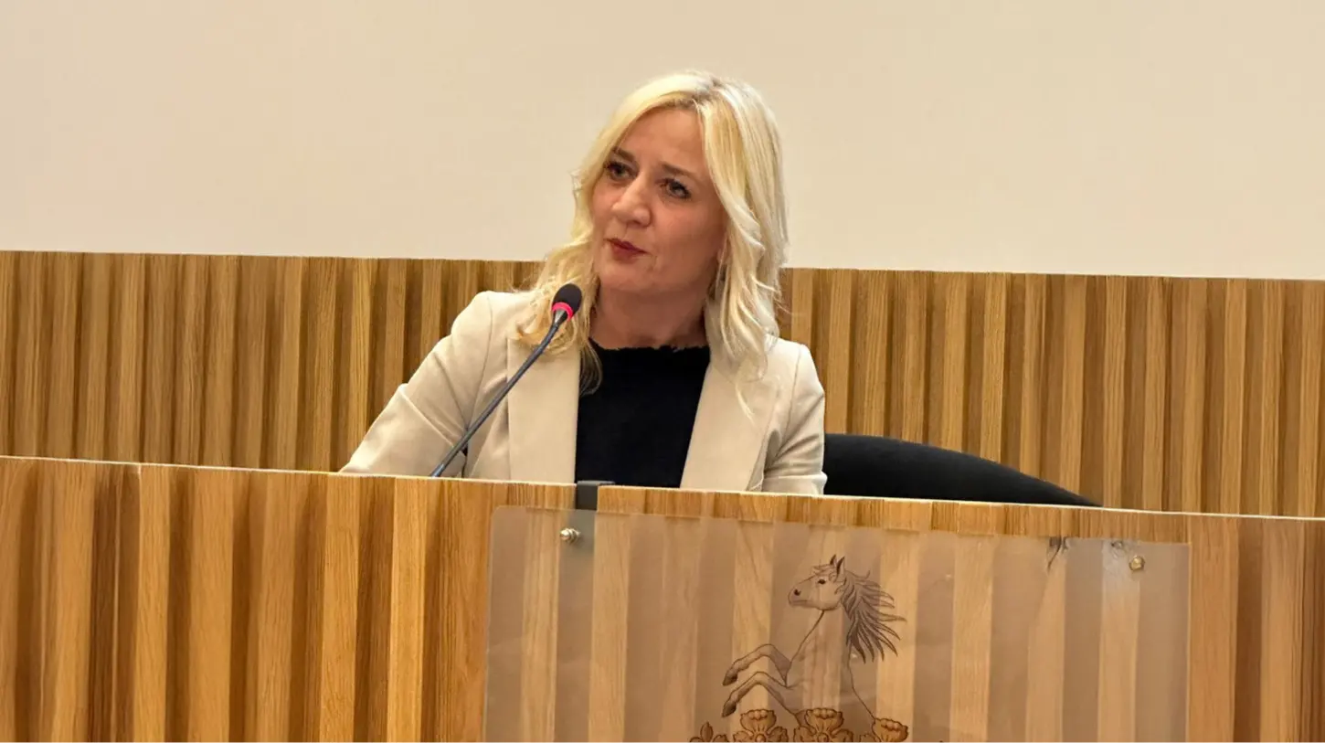 Raffaella Sartori, Presidente dell’Ordine degli Avvocati di Udine