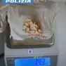 Parte della droga sequestrata dalla polizia di Udine