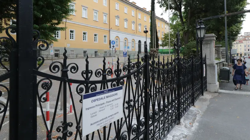 L'ospedale Maggiore di Trieste (Lasorte)