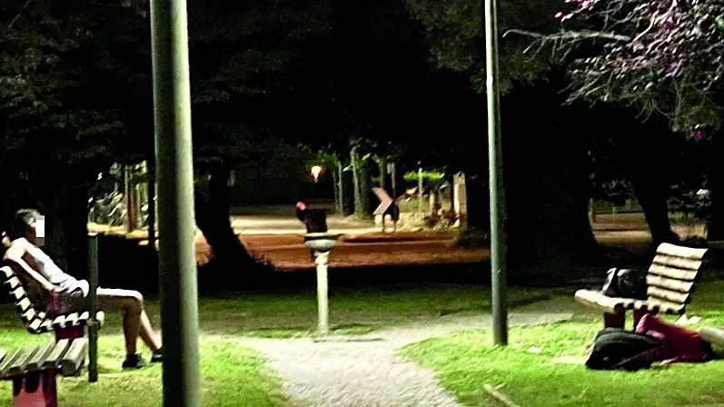 Gli ultimi casi registrati di notte al parco, nel fine settimana, prima dell’entrata in vigore dell’ordinanza