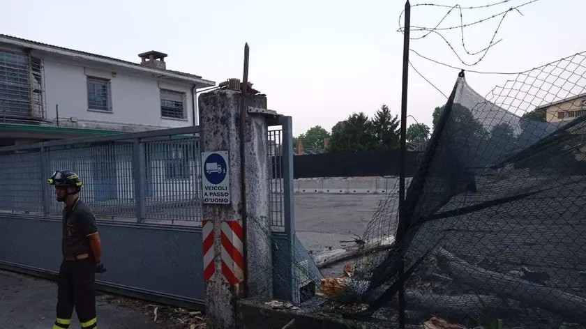 Il pioppo spezzato e a terra in via Baldasseria Bassa a Udine