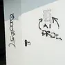 Le scritte offensive