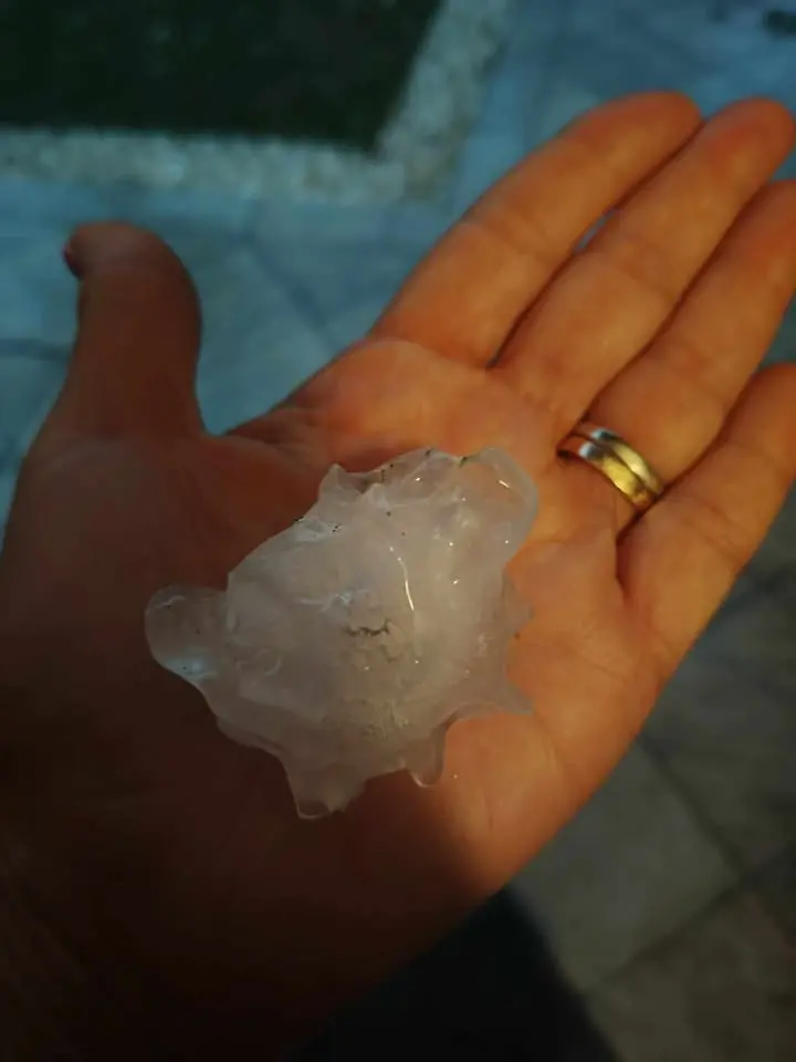 Il maltempo nella serata di oggi, giovedì 26 giugno, ha colpito la zona di Caneva, Sacile, Brugnera e Fontanafredda: si è verificata una grandinata, sui social stanno circolando immagini di chicchi di grandine di dimensioni anche consistenti. Le squadre di protezione civile di Sacile e Brugnera non avrebbero ricevuto chiamate. Grandinata anche a Pordenone e Zoppola: anche in quest’ultimo comune, come nell’area del Sacilese, viene segnalata la caduta di chicchi di grandine di dimensioni anche consistenti. Ecco alcune immagini che ci hanno inviato i nostri lettori e pubblicate sulle pagine Facebook