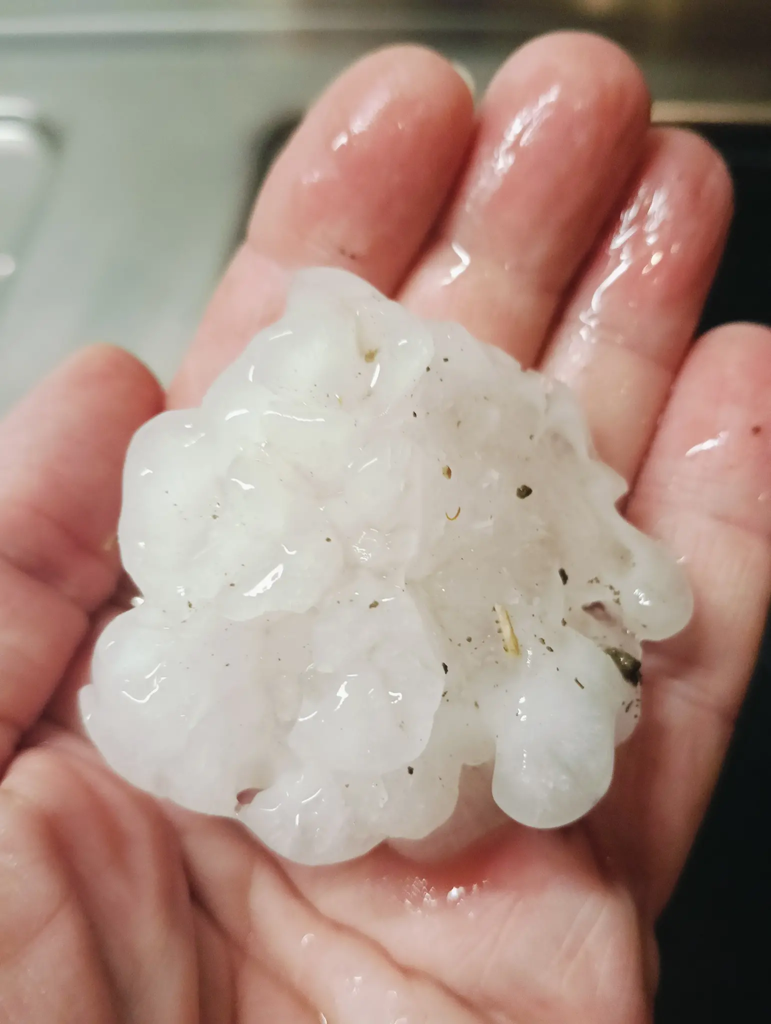 Il maltempo nella serata di oggi, giovedì 26 giugno, ha colpito la zona di Caneva, Sacile, Brugnera e Fontanafredda: si è verificata una grandinata, sui social stanno circolando immagini di chicchi di grandine di dimensioni anche consistenti. Le squadre di protezione civile di Sacile e Brugnera non avrebbero ricevuto chiamate. Grandinata anche a Pordenone e Zoppola: anche in quest’ultimo comune, come nell’area del Sacilese, viene segnalata la caduta di chicchi di grandine di dimensioni anche consistenti. Ecco alcune immagini che ci hanno inviato i nostri lettori e pubblicate sulle pagine Facebook