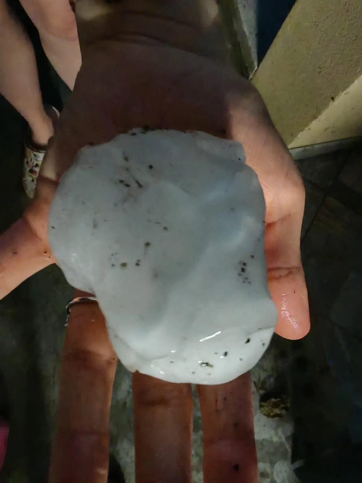 Il maltempo nella serata di oggi, giovedì 26 giugno, ha colpito la zona di Caneva, Sacile, Brugnera e Fontanafredda: si è verificata una grandinata, sui social stanno circolando immagini di chicchi di grandine di dimensioni anche consistenti. Le squadre di protezione civile di Sacile e Brugnera non avrebbero ricevuto chiamate. Grandinata anche a Pordenone e Zoppola: anche in quest’ultimo comune, come nell’area del Sacilese, viene segnalata la caduta di chicchi di grandine di dimensioni anche consistenti. Ecco alcune immagini che ci hanno inviato i nostri lettori e pubblicate sulle pagine Facebook