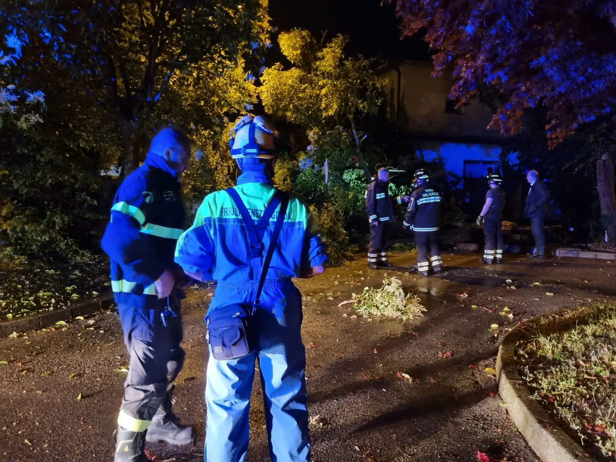La rimozione di un albero caduto sulla strada a Mortegliano