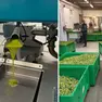 Il Consorzio produttori Olio Evo Fvg investe sulla formazione nelle aziende