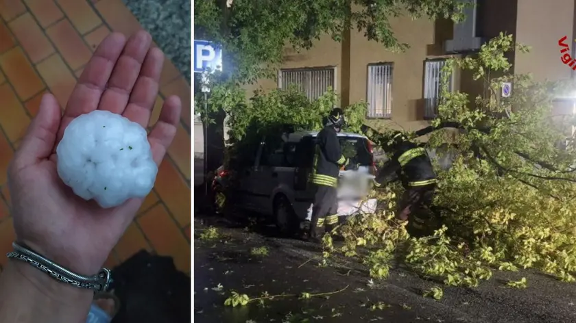 Grossi chicchi di grandine e alberi caduti sulle auto nel Pordenonese