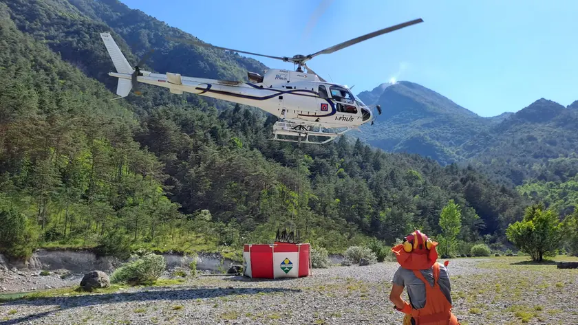Sul posto il Corpo forestale regionale con il personale della Stazione di Pinzano al Tagliamento e dell’IF di Pordenone.