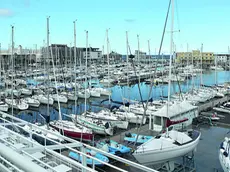 La barche a vela che riempiono lo specchio di mare della Sacchetta a Trieste