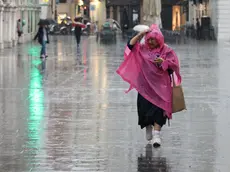 Tornano i temporali in Friuli Venezia Giulia (Lasorte)