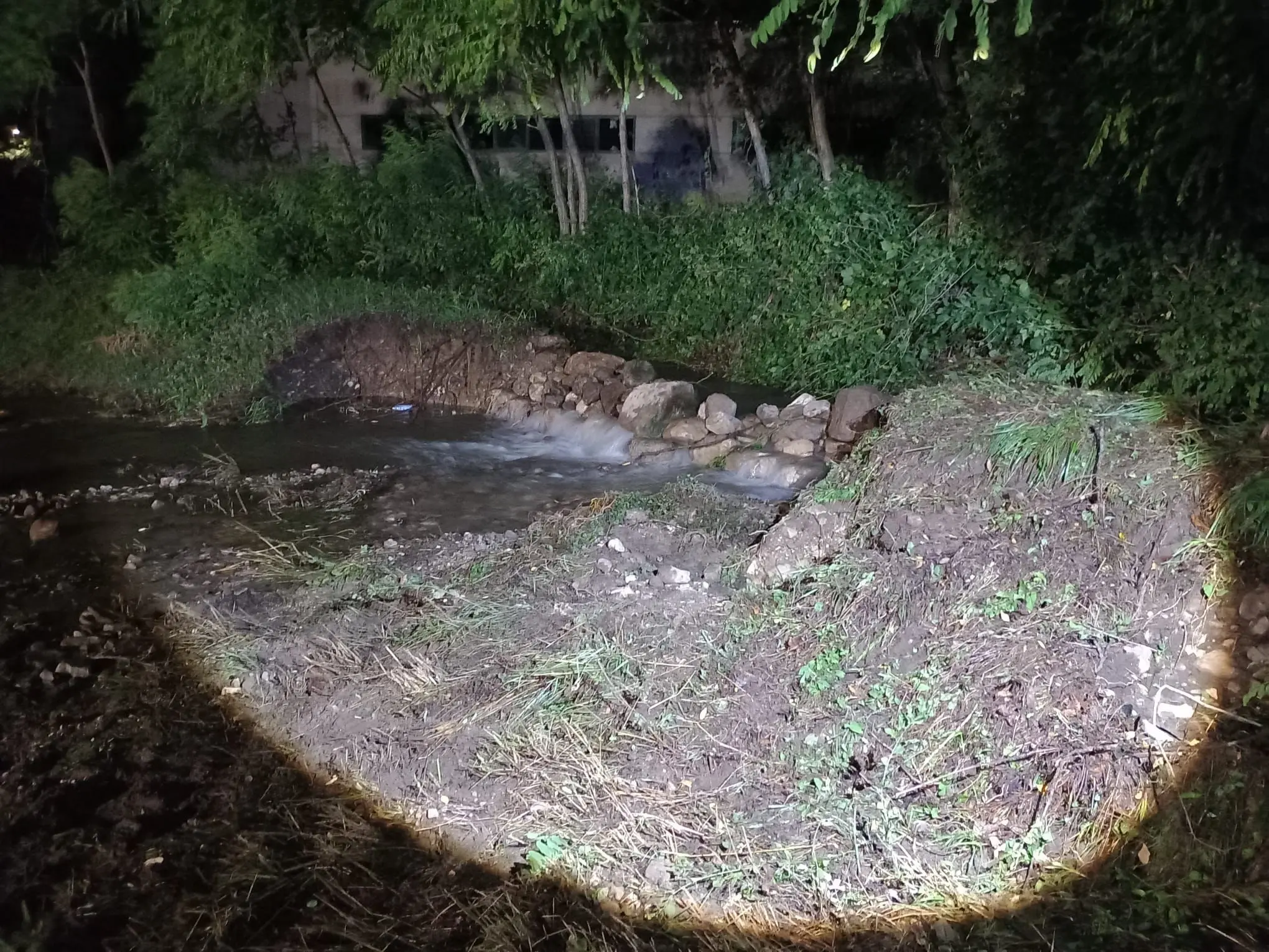 Allagamenti, alberi caduti, strade invase dall’acqua ed esondazioni: ecco le foto dei danni provocati dai violenti temporali tra lunedì e martedì.