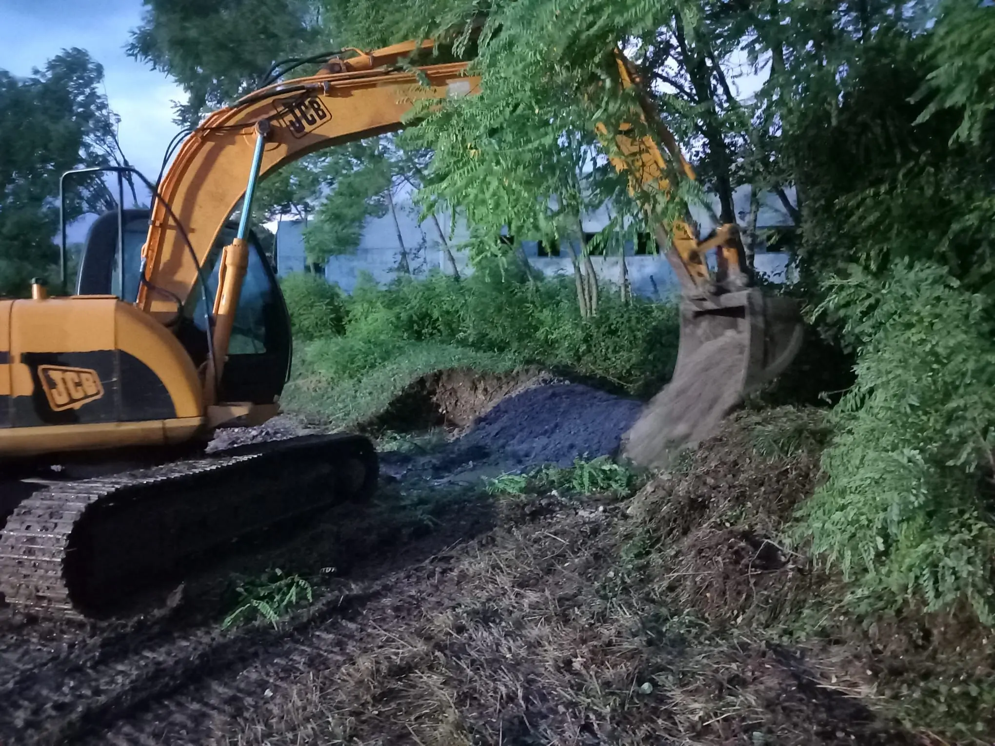 Allagamenti, alberi caduti, strade invase dall’acqua ed esondazioni: ecco le foto dei danni provocati dai violenti temporali tra lunedì e martedì.