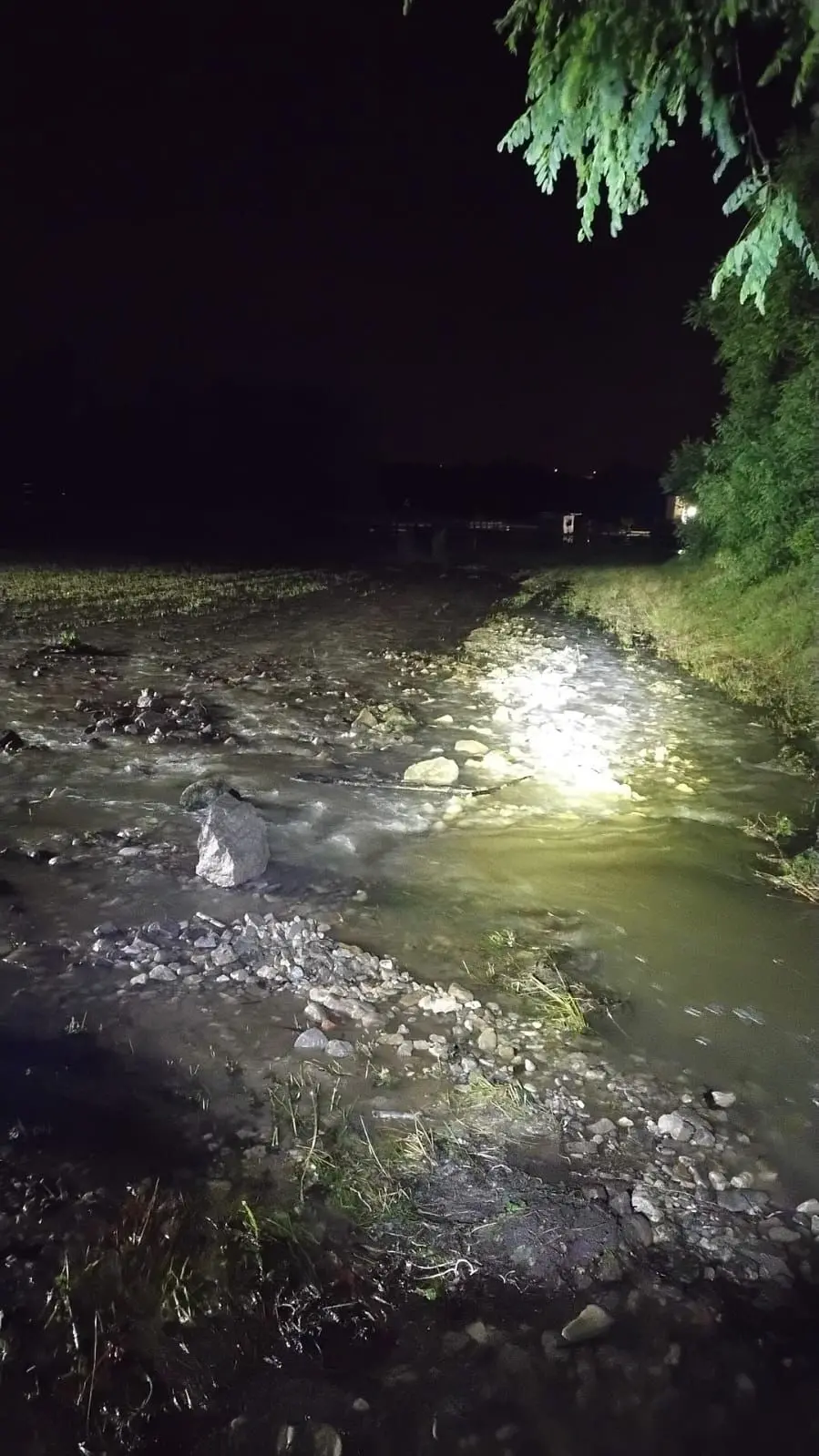 Allagamenti, alberi caduti, strade invase dall’acqua ed esondazioni: ecco le foto dei danni provocati dai violenti temporali tra lunedì e martedì.