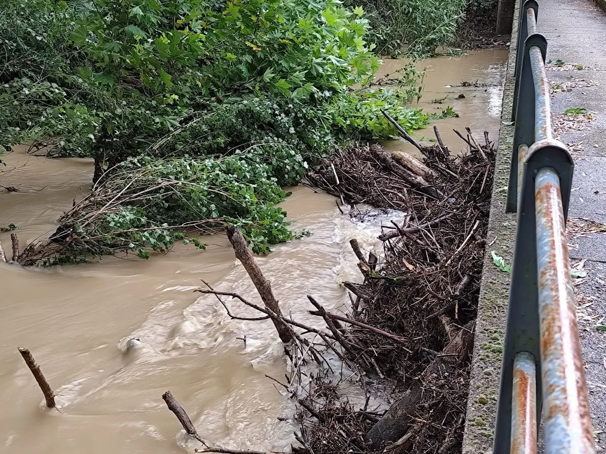 Allagamenti, alberi caduti, strade invase dall’acqua ed esondazioni: ecco le foto dei danni provocati dai violenti temporali tra lunedì e martedì.