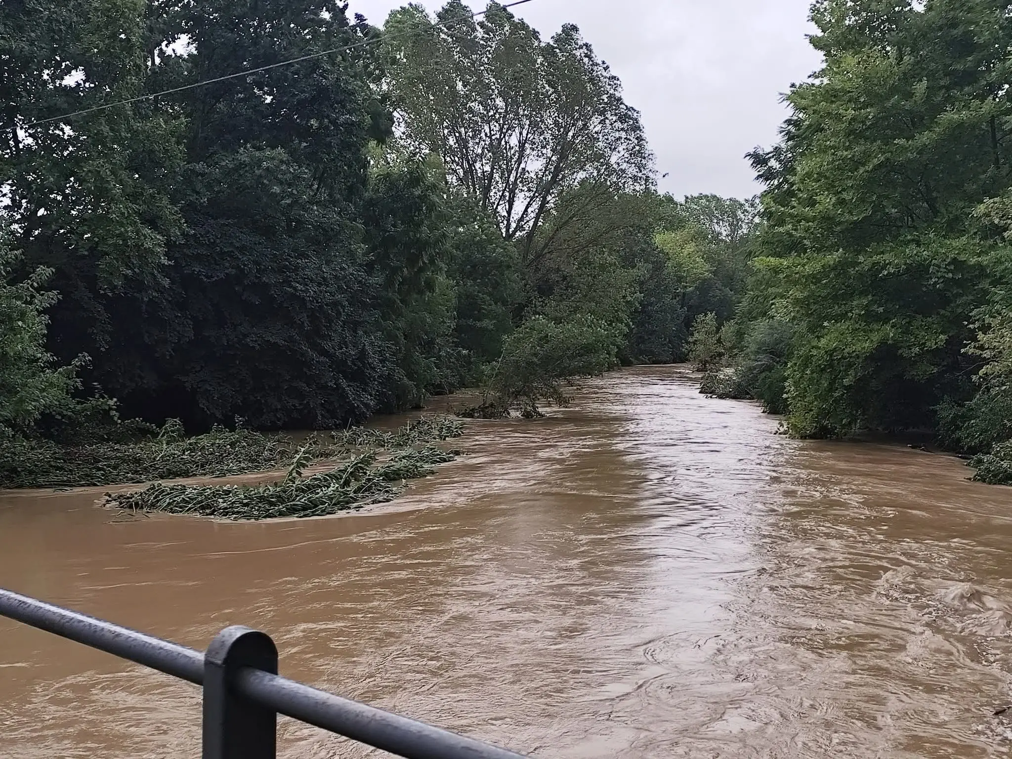 Allagamenti, alberi caduti, strade invase dall’acqua ed esondazioni: ecco le foto dei danni provocati dai violenti temporali tra lunedì e martedì.