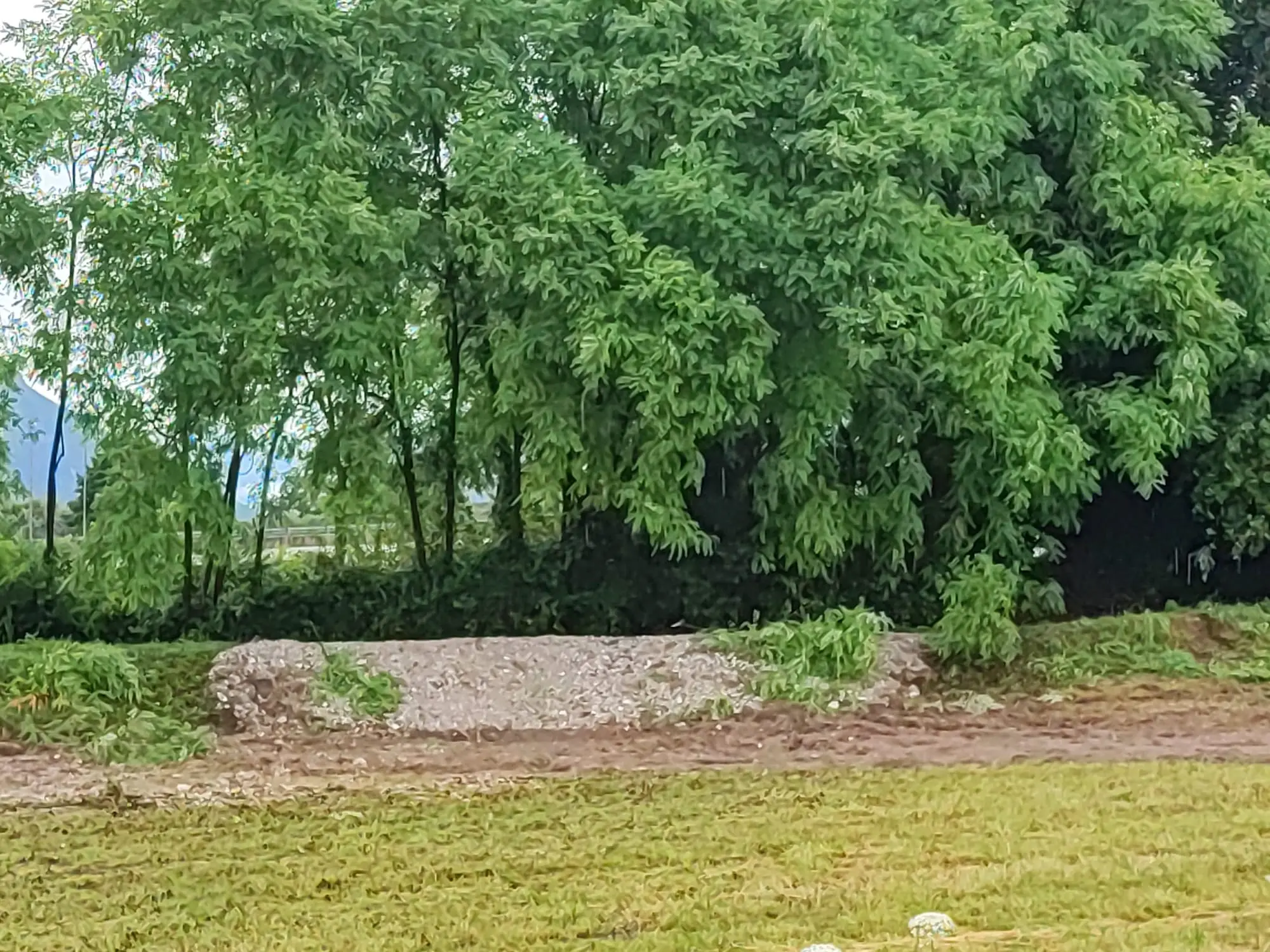 Allagamenti, alberi caduti, strade invase dall’acqua ed esondazioni: ecco le foto dei danni provocati dai violenti temporali tra lunedì e martedì.