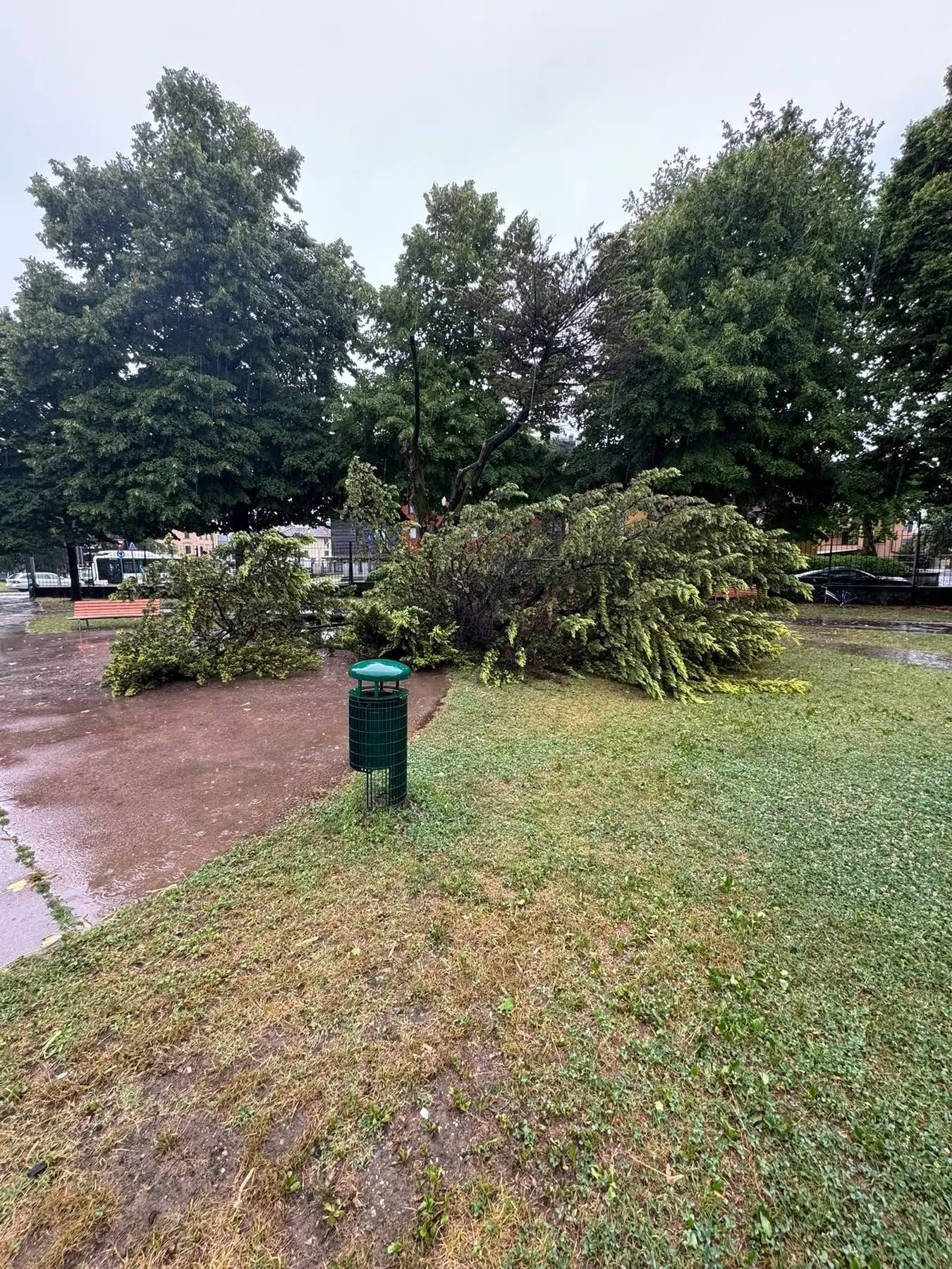 Allagamenti, alberi caduti, strade invase dall’acqua ed esondazioni: ecco le foto dei danni provocati dai violenti temporali tra lunedì e martedì.