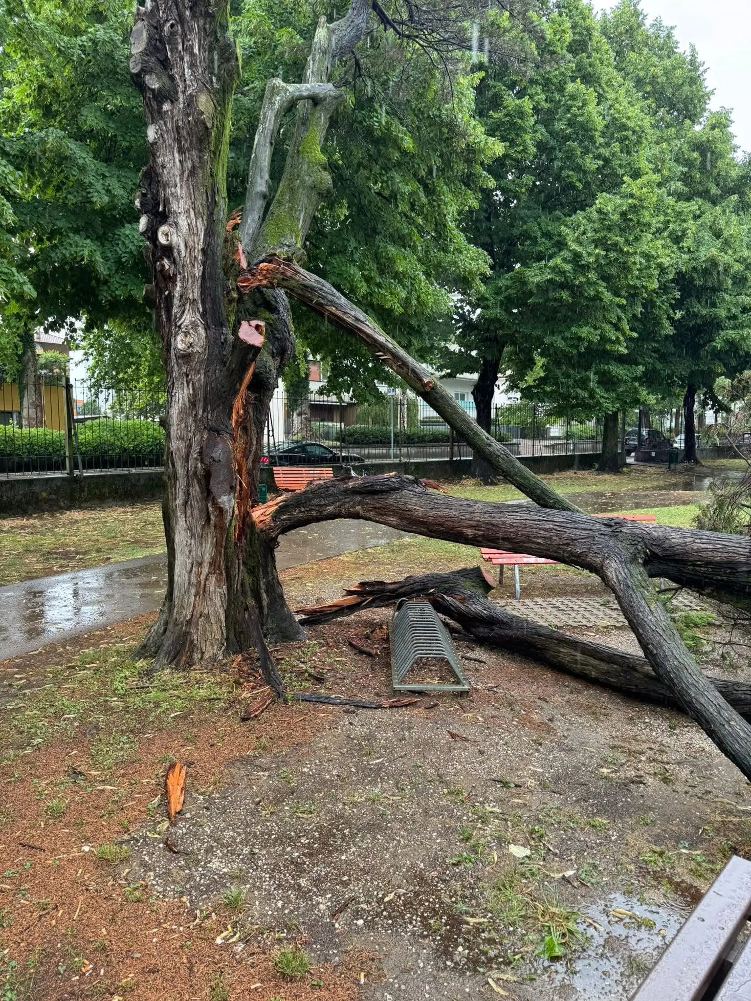Allagamenti, alberi caduti, strade invase dall’acqua ed esondazioni: ecco le foto dei danni provocati dai violenti temporali tra lunedì e martedì.