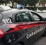 Sul fatto indagano i carabinieri