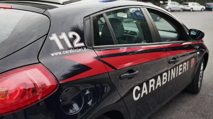 Sul fatto indagano i carabinieri