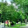Una veduta del parco dell’Ortazza, teatro dell’episodio