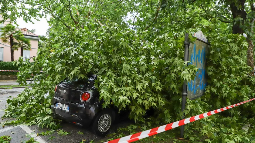 Gli effetti del maltempo in corso Italia a Gorizia (foto Tibaldi)