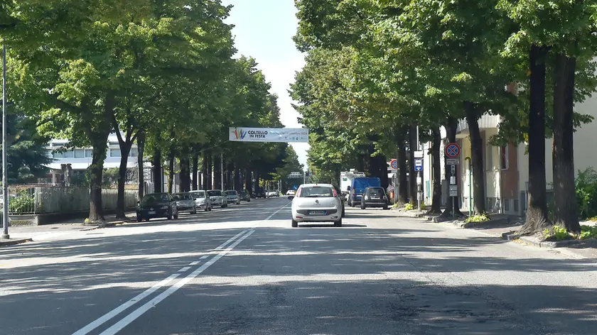 Viale Leonardo da Vinci, Udine © Foto Petrussi