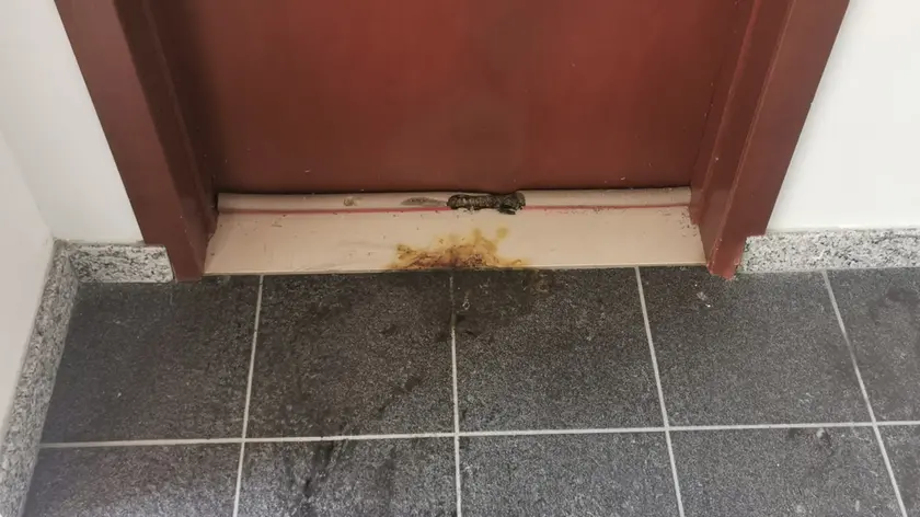 Le fiamme sono arrivate davanti al portone dell'abitazione