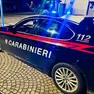 Sul fatto indagano i carabinieri