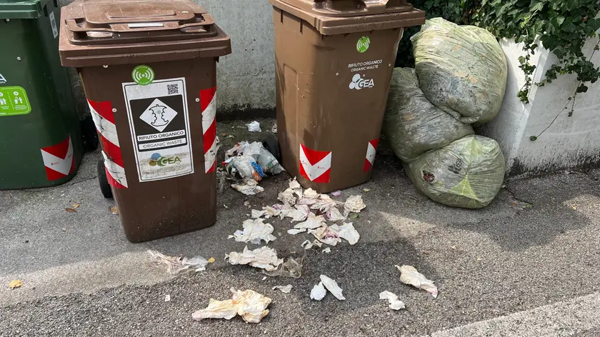 I rifiuti in città