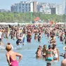 Pienone in spiaggia a Pineta © Foto Petrussi