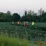 L'auto è finita nel campo fermando la propria corsa a distanza di diversi metri dalla carreggiata