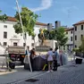 Gli alberi in piazza della Motta